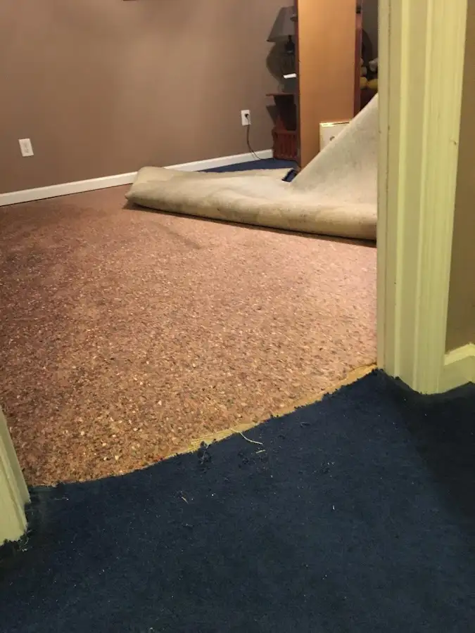 Carpet pad removal revealing water damage during Water Mitigation Services in Titusville