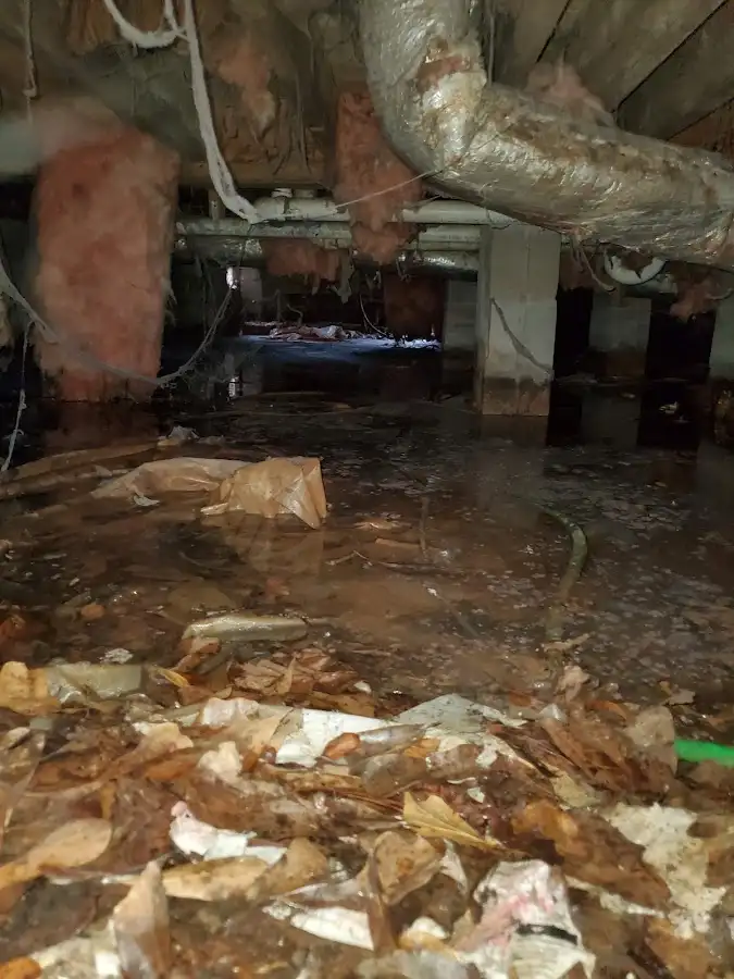 Crawl space flood assessment for Leak Detection & Repair in Titusville